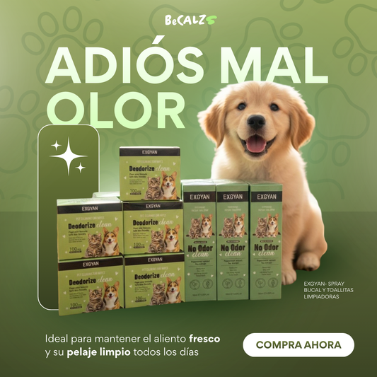 Combo de Limpieza para Mascota - Spray Bucal y Toallitas Limpiadoras  Exgyan 😱50% DE DESCUENTO😱
